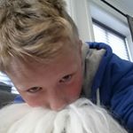 loke benjamin moum - Instagram Profile Picture of loke benjamin moum (@lokeyboy_123) on Instagram