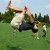 Profile Picture of Davide Zecchini (@davide6419) on Pinterest