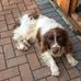 Profile Picture of Graham Winter (@graham.winter.7) on Facebook