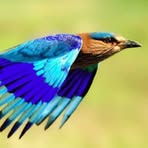 Profile Picture of Samad Sheikh (@Samad-Sheikh) on Facebook