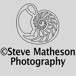 Profile Picture of Steve  Matheson (@Flightless72) on Flickr
