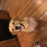 Profile Picture of Kyle Vesper (@kyle-vesper) on Quora