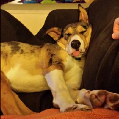 Profile Picture of James S K (@JESKendall) on Twitter