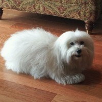 Profile Picture of Nancy Humphrey (@nancy-humphrey) on Quora