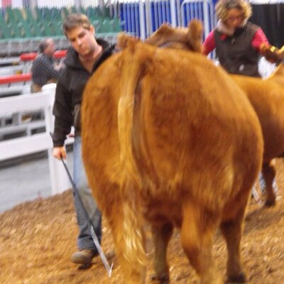 Profile Picture of Aaron Mitchell (@Mitchell89Aaron) on Twitter