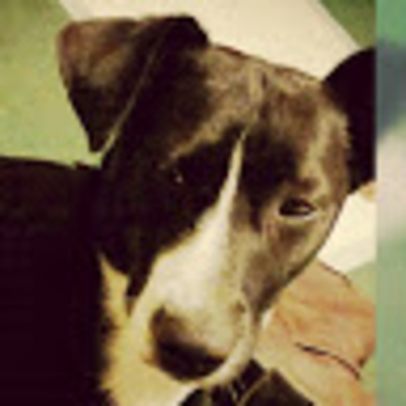 Aimee Leforce - Poshmark Profile Picture of Aimee Leforce (@angelfire11203) on Poshmark