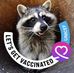 Profile Picture of Jonathan Hurt (Raccoon) (@jonathan.hurt.589) on Facebook