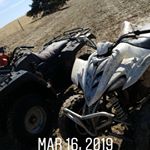 Andrew Herley - Instagram Profile Picture of Andrew Herley (@andrewherley) on Instagram