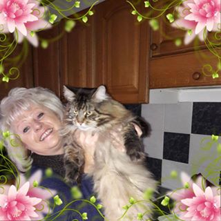 Profile Picture of Brigitte Neuhold (@brigitte.neuhold.77) on Facebook