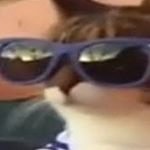 Profile Picture of Joseph Maher (@josephmaher3) on Instagram