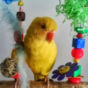 Profile Picture of Tamara Bloxham (@tamaraannesmith) on Youtube