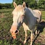 Profile Picture of Leah Spratt (@leah_spratt) on Instagram