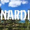 Profile Picture of NARDI 👙 Swimwear Brand UK (@nardiswim) on Tiktok