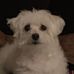 Profile Picture of Matthew Sroka (@matthew.sroka.393) on Facebook