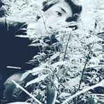Profile Picture of Samuel pekkala (@pekkalasamuel) on Instagram