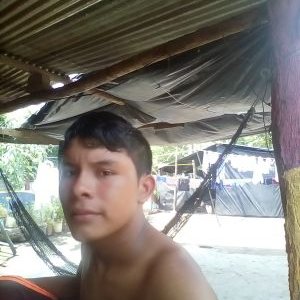 Profile Picture of Kevin Chinchilla (@kevinch14198670) on Twitter