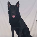 Profile Picture of Adam Watkins (@adam.watkins.16718) on Instagram
