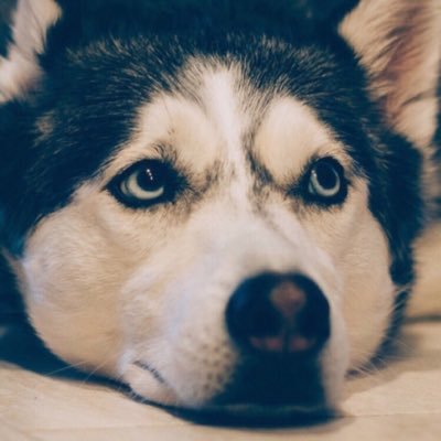 Profile Picture of Tao David (@BenArrayBen) on Twitter