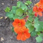 Profile Picture of Hyland (@hylandroger914) on Instagram