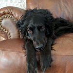 Profile Picture of Kyle Huggins (@kyle.s.huggins) on Instagram