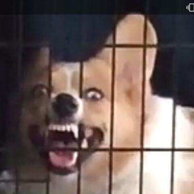 Profile Picture of Kyle Chaplin (@kyle_chaplin) on Twitter