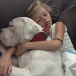 Profile Picture of Matthew Ekdahl (@pitbulllover1975) on Instagram