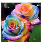 Profile Picture of Cora Wilcox (@cora.wilcox) on Facebook