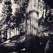 Profile Picture of Kelly Wrage (@kellywrage1426) on Youtube