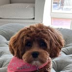 Profile Picture of Keeton Graham (@Keeton.477.Grm) on Facebook