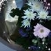 Profile Picture of Audrey Pinder (@audrey.pinder.566) on Facebook