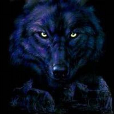 Profile Picture of Andrewshetler (@Andrewshetler1) on Twitter