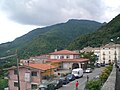 Profile Picture of Lauritoon Wikipedia