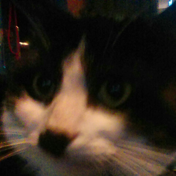Profile Picture of Leon Waldron (@@leon01117) on Tiktok