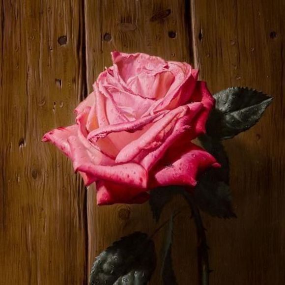 Profile Picture of Zina Merkhan (@zanzona) on Poshmark