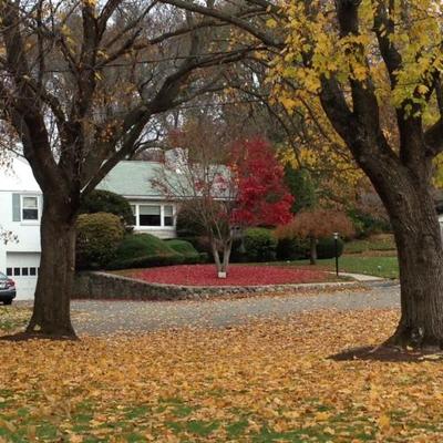 Kevin-Melissa Gulley - Twitter Profile Picture of Kevin-Melissa Gulley (@letters2ourkids) on Twitter