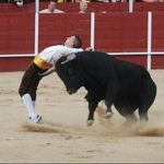 Profile Picture of Felipe Cabello (@felipe.cabello.779) on Instagram