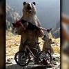Profile Picture of Peter Munro (@@petermunro0) on Tiktok