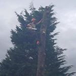 Profile Picture of Brian Moultrie (@brianmoultrie) on Instagram