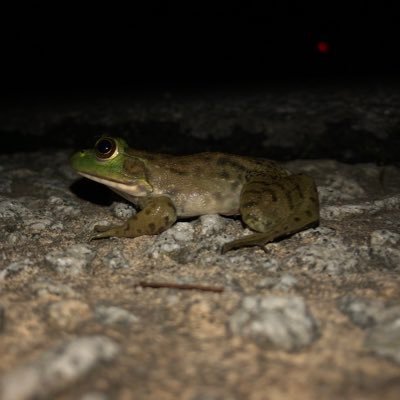 Profile Picture of Mattfusaro (@matthewfusaro) on Twitter