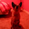 Profile Picture of crownoverjl (@jyordincrownover) on Tiktok