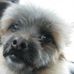 Profile Picture of Penny Cahoy (@penny.cahoy) on Facebook