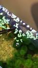 Profile Picture of   Feeding new fish| | with... (@kevin10472) on Tiktok