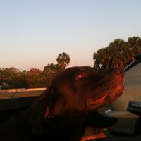 Profile Picture of Joe Acord (@joe-acord-1) on Quora