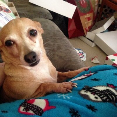 Profile Picture of Tammy Tyndall Petway (@ttpetway2) on Twitter