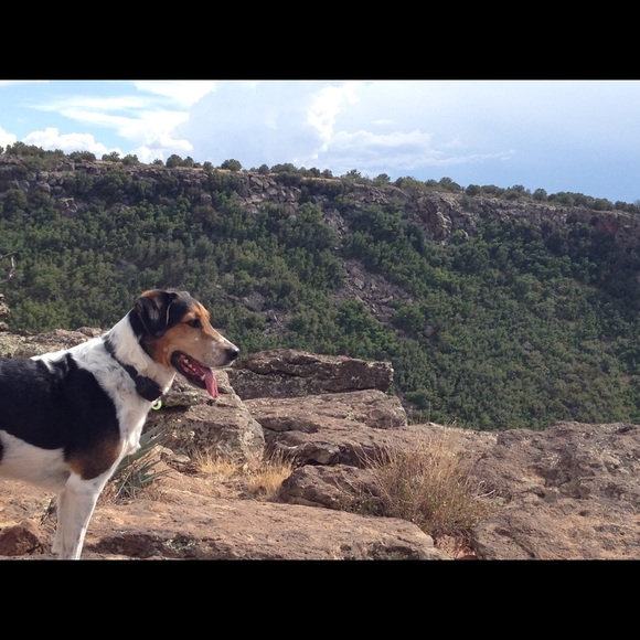 Profile Picture of Olivia Card (@livcard8) on Poshmark