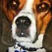 Profile Picture of Douglas Shenk (@Douglas-Shenk) on Facebook