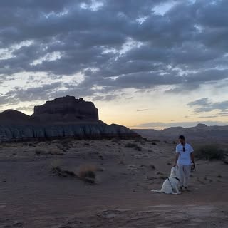 Profile Picture of David Shammas (@davidshammas) on Instagram