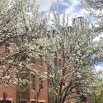 Profile Picture of Josephine Beatie (@josephinebeatiemillinery) on Instagram