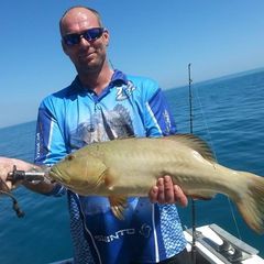 Profile Picture of Doug Burgar (@dougburgar) on Tiktok