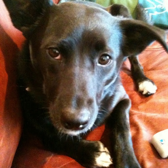 Profile Picture of Kate Malone (@kem4904) on Poshmark